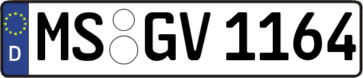 MS-GV1164