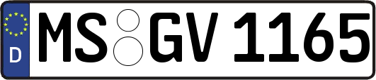 MS-GV1165