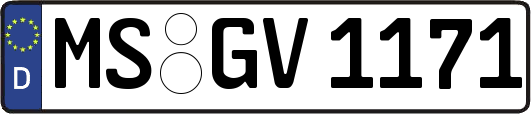MS-GV1171