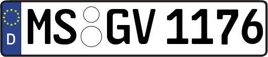MS-GV1176