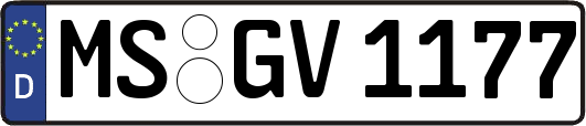 MS-GV1177