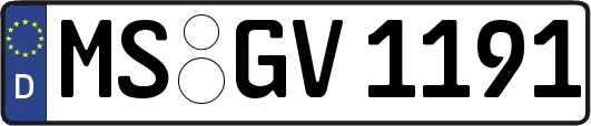 MS-GV1191