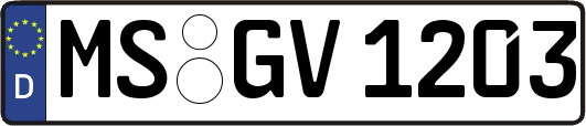 MS-GV1203