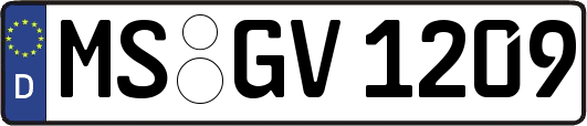 MS-GV1209