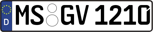 MS-GV1210