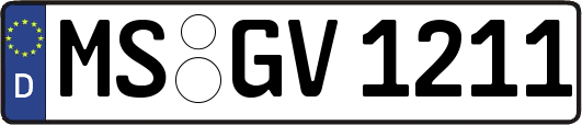 MS-GV1211
