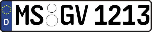 MS-GV1213