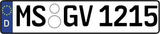 MS-GV1215