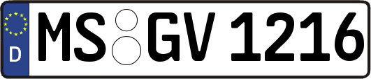 MS-GV1216