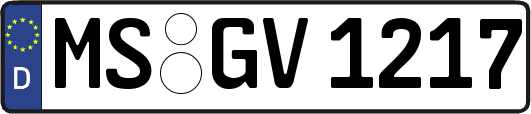 MS-GV1217