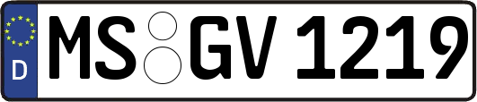 MS-GV1219