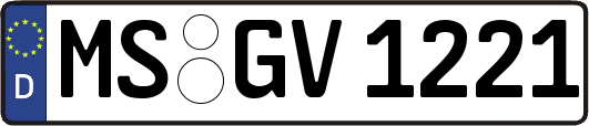 MS-GV1221