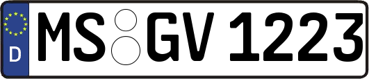 MS-GV1223