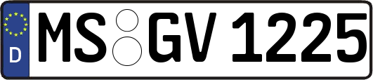 MS-GV1225
