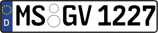MS-GV1227