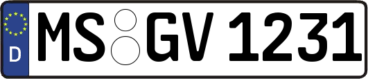 MS-GV1231