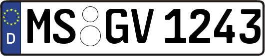 MS-GV1243