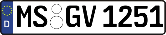 MS-GV1251