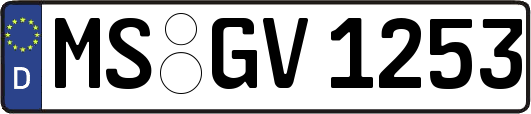MS-GV1253