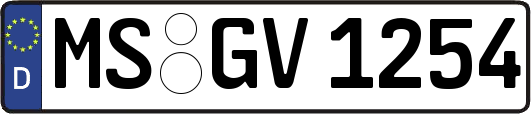 MS-GV1254