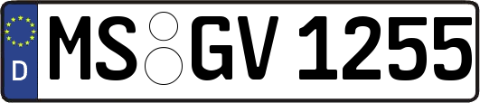 MS-GV1255