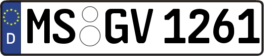 MS-GV1261