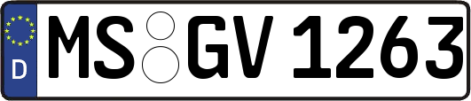 MS-GV1263