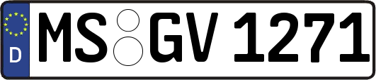 MS-GV1271