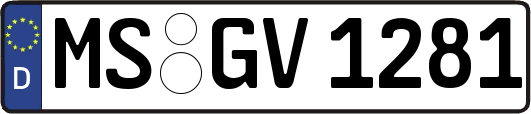 MS-GV1281