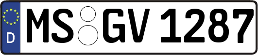MS-GV1287