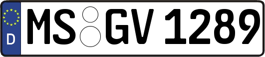 MS-GV1289