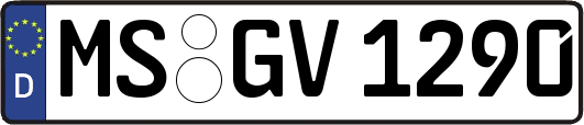 MS-GV1290