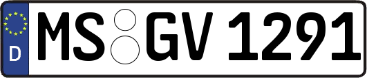 MS-GV1291