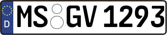 MS-GV1293
