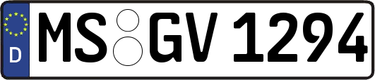 MS-GV1294