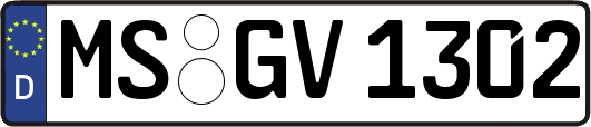 MS-GV1302