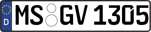 MS-GV1305