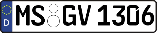 MS-GV1306