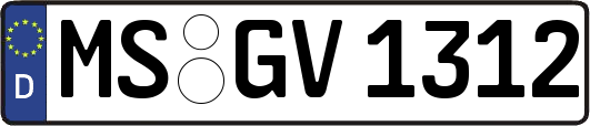 MS-GV1312