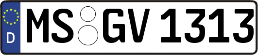 MS-GV1313