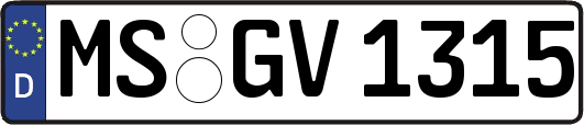 MS-GV1315