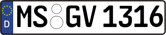 MS-GV1316