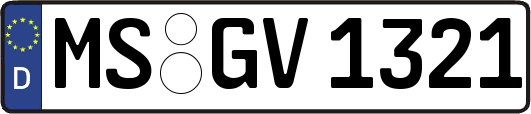 MS-GV1321