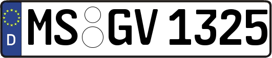 MS-GV1325