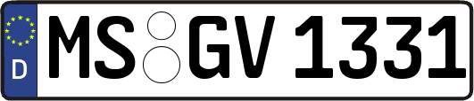 MS-GV1331
