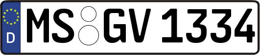 MS-GV1334