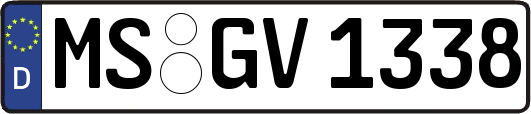 MS-GV1338