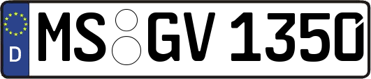 MS-GV1350