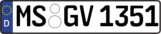 MS-GV1351
