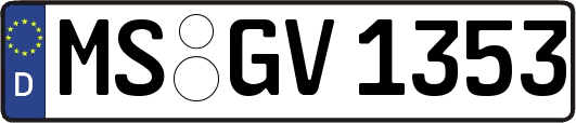 MS-GV1353